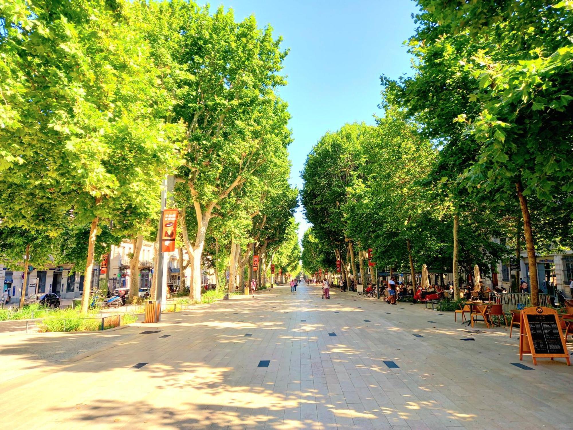 T2 Cathedrale & Torre Ventosa - Central - Clim - Wifi - Balcon - Free Parking Sur Demande Безьє Екстер'єр фото